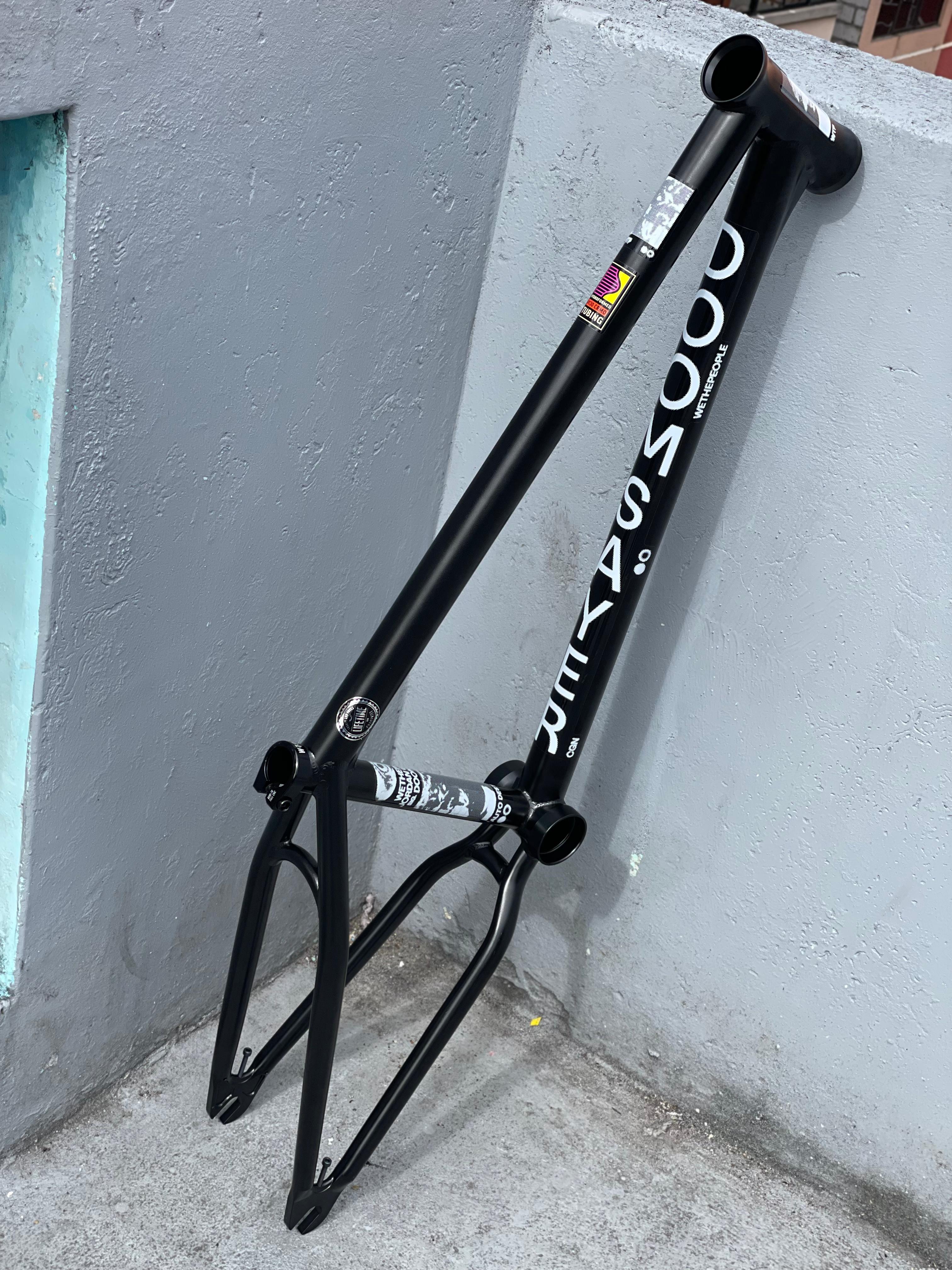 Bici cuadro #1
